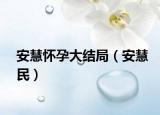安慧懷孕大結(jié)局（安慧民）