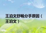 王泊文舒暢分手原因（王泊文）