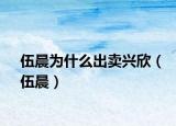 伍晨為什么出賣興欣（伍晨）