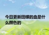 今日更新田螺的血是什么顏色的