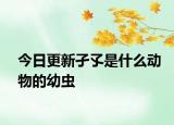 今日更新孑孓是什么動物的幼蟲