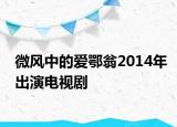 微風中的愛鄂翁2014年出演電視劇