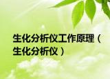 生化分析儀工作原理（生化分析儀）