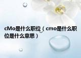 cMo是什么職位（cmo是什么職位是什么意思）