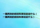 一國兩制的前提和基礎(chǔ)是是什么（一國兩制的前提和基礎(chǔ)是什么）