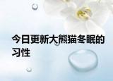 今日更新大熊貓冬眠的習(xí)性