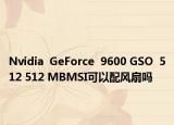 Nvidia  GeForce  9600 GSO  512 512 MBMSI可以配風(fēng)扇嗎