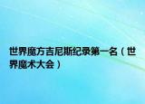 世界魔方吉尼斯紀錄第一名（世界魔術大會）