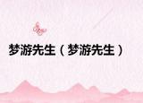 夢游先生（夢游先生）