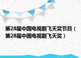 第28屆中國電視劇飛天獎節(jié)目（第28屆中國電視劇飛天獎）