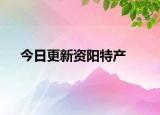 今日更新資陽特產(chǎn)