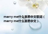 marry me什么意思中文歌詞（marry me什么意思中文）