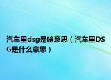 汽車?yán)飀sg是啥意思（汽車?yán)顳SG是什么意思）