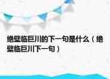 絕壁臨巨川的下一句是什么（絕壁臨巨川下一句）