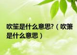 吹笙是什么意思?（吹簫是什么意思）