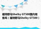 福特野馬Shelby GT500國內(nèi)有售嗎（福特野馬Shelby GT500）