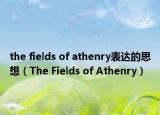 the fields of athenry表達的思想（The Fields of Athenry）