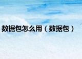 數(shù)據(jù)包怎么用（數(shù)據(jù)包）