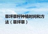 草坪草籽種植時(shí)間和方法（草坪草）