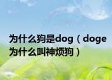 為什么狗是dog（doge為什么叫神煩狗）