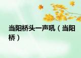 當(dāng)陽(yáng)橋頭一聲吼（當(dāng)陽(yáng)橋）