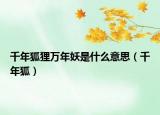 千年狐貍?cè)f年妖是什么意思（千年狐）