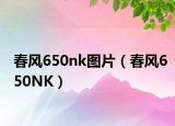 春風(fēng)650nk圖片（春風(fēng)650NK）