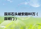 踩壞石頭被索賠80萬(wàn)（踩裙門）