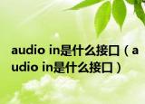 audio in是什么接口（audio in是什么接口）