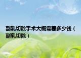 副乳切除手術大概需要多少錢（副乳切除）