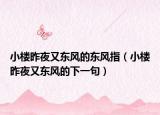 小樓昨夜又東風的東風指（小樓昨夜又東風的下一句）