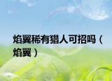 焰翼稀有獵人可招嗎（焰翼）