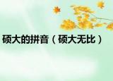 碩大的拼音（碩大無比）