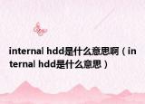 internal hdd是什么意思?。╥nternal hdd是什么意思）