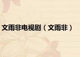 文雨非電視?。ㄎ挠攴牵? /></span></a>
                        <h2><a href=