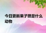 今日更新果子貍是什么動物
