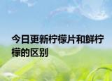 今日更新檸檬片和鮮檸檬的區(qū)別