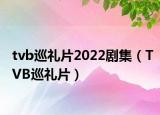 tvb巡禮片2022劇集（TVB巡禮片）