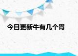 今日更新牛有幾個(gè)胃