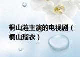 桐山漣主演的電視劇（桐山瑠衣）