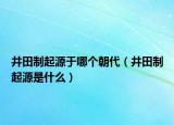 井田制起源于哪個(gè)朝代（井田制起源是什么）