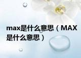 max是什么意思（MAX是什么意思）