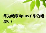 華為暢享6plus（華為暢享6）