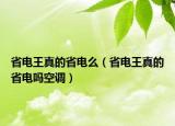 省電王真的省電么（省電王真的省電嗎空調(diào)）