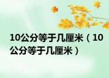 10公分等于幾厘米（10公分等于幾厘米）