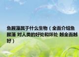 魚腥藻屬于什么生物（全面介紹魚腥藻 對人類的好處和壞處 越全面越好）