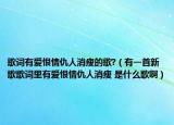 歌詞有愛恨情仇人消瘦的歌?（有一首新歌歌詞里有愛恨情仇人消瘦 是什么歌?。? /></span></a>
                        <h2><a href=