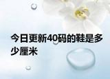 今日更新40碼的鞋是多少厘米