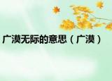 廣漠無際的意思（廣漠）
