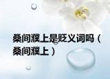 桑間濮上是貶義詞嗎（桑間濮上）
